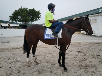 Fire's Finale at Gulfstream Park on May 10, 2020 (Ron Spatz)