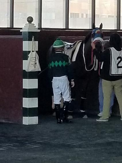 Adhwaa in race 5 at Parx on November 4, 2020 (George Katzenberger)