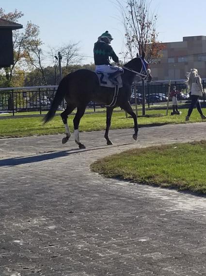 Adhwaa in race 5 at Parx on November 4, 2020 (George Katzenberger)