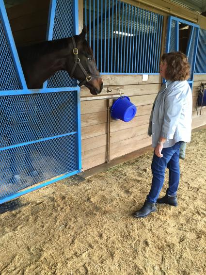 Jump Start colt Start a Fire with Kenwood partner Ellen Gaynor at T-Square Stud on March 13, 2019