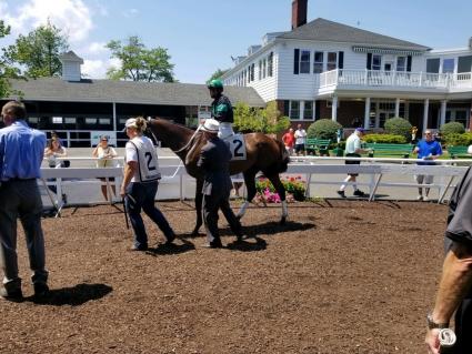 Solar in race 1 at Monmouth Park on July 28, 2019 (George Katzenberger)