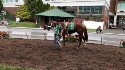 Smarty Cat makes her debut in race 6 at Monmouth Park on August 23, 2019 (Chris Driscoll)