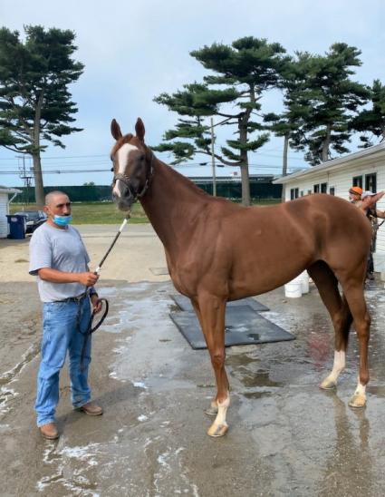 Itsgottabemyway gets a bath, morning after claim on August 15, 2020 (Kelly Breen)