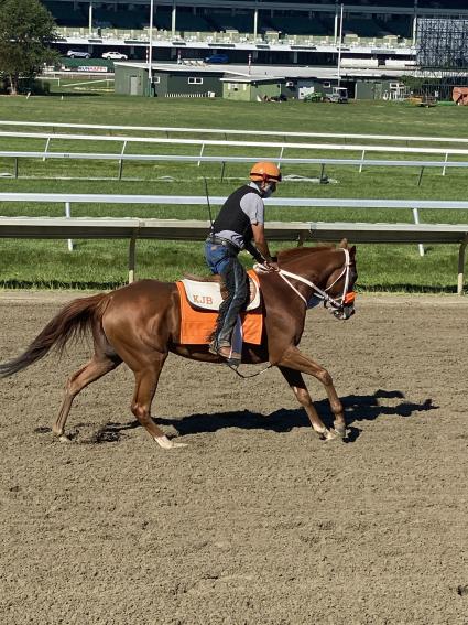 Itsgottabemyway training at Monmouth Park on August 20, 2020 (Kelly Breen)