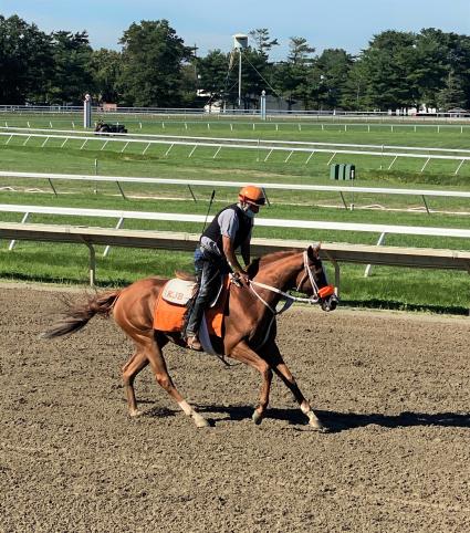 Itsgottabemyway training at Monmouth Park on August 20, 2020 (Kelly Breen)