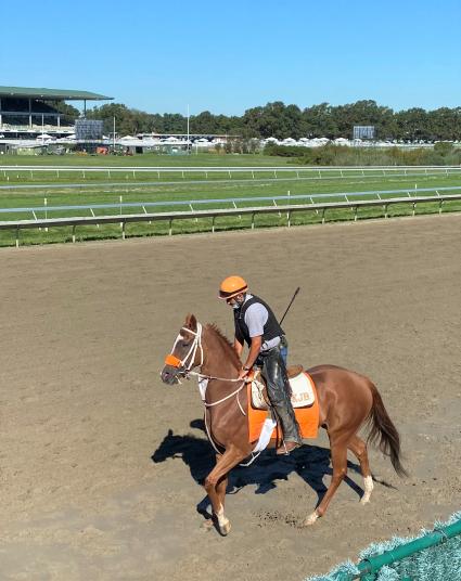 Itsgottabemyway training at Monmouth Park on August 20, 2020 (Kelly Breen)