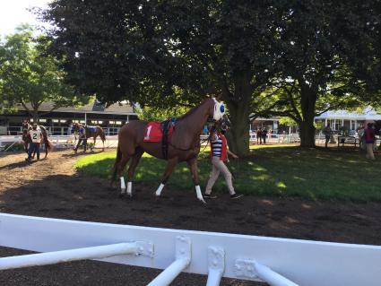 Itsgottabemyway in race 2 at Monmouth Park on August 14, 2020