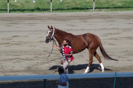 Itsgottabemyway in race 2 at Monmouth Park on August 14, 2020