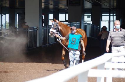 Itsgottabemyway, with Nik Juarez up, in race 6 at Monmouth Park on September 7, 2020