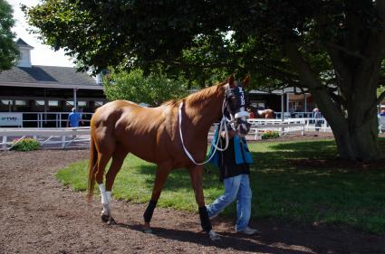 Itsgottabemyway, with Nik Juarez up, in race 6 at Monmouth Park on September 7, 2020