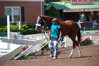 Itsgottabemyway, with Nik Juarez up, in race 6 at Monmouth Park on September 7, 2020