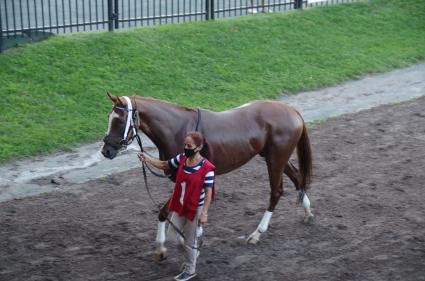 Itsgottabemyway in race 2 at Monmouth Park on August 14, 2020