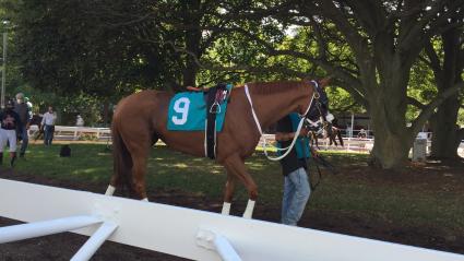 Itsgottabemyway, with Nik Juarez up, in race 6 at Monmouth Park on September 7, 2020