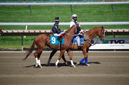 Itsgottabemyway, with Nik Juarez up, in race 6 at Monmouth Park on September 7, 2020