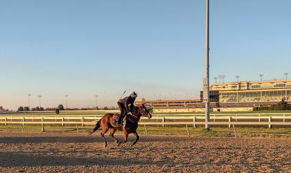 Life on the Edge training at Penn National on November 8, 2021 (Mark Salvaggio)