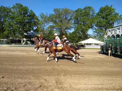 Life on the Edge (inside, yellow cap) and Shake It Up Baby (far outside) come out of the gate at Monmouth Park on May 26, 2019