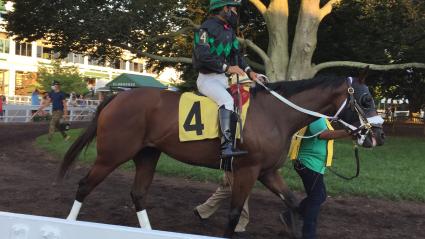 Life on the Edge wins race 6 at Monmouth Park on Friday, August 14, 2020 (Christopher Driscoll)