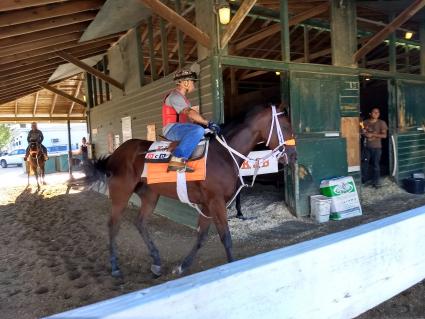 Life on the Edge at Monmouth Park on June 30, 2019 (Robb Levinsky)