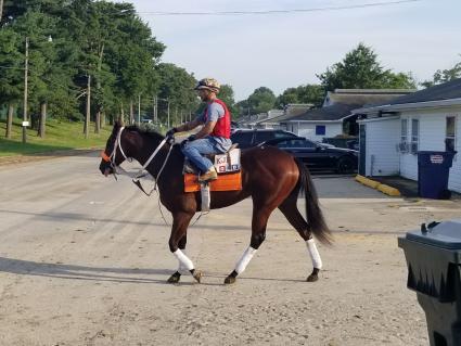 Life on the Edge training at Monmouth Park on August 22, 2019 (George Katzenberger)