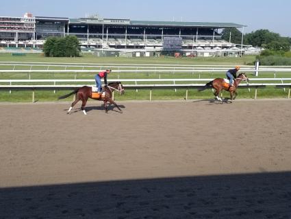 Life on the Edge training at Monmouth Park on July 25, 2019 (Jack Czajkowski)