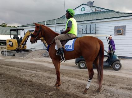 Scat Daddy filly Lisa Limon at Gulfstream Park (Robb Levinsky)