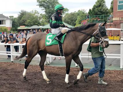 Mandel in race 8 at Monmouth Park on September 8, 2018 (Robert Bulger)