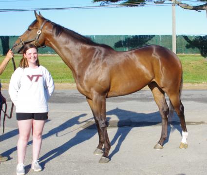 Mandel, 3YO gelding by Malibu Moon, pictured with co-owner Eleonor, at Monmouth Park