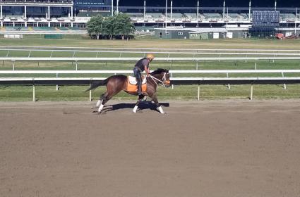 Malibu Moon gelding Mandel at Monmouth Park (Jack Czajkowski)