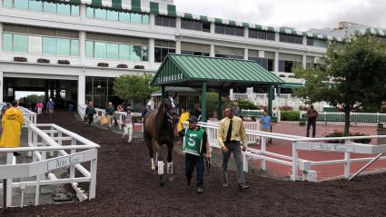 Mandel was a game second in race 6 at Monmouth Park on Sunday, August 19, 2018 (Chris Driscoll)