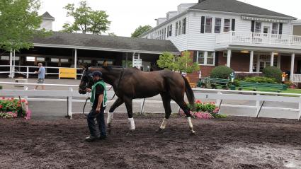 Mandel was a game second in race 6 at Monmouth Park on Sunday, August 19, 2018 (Chris Driscoll)