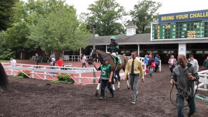 Mandel was a game second in race 6 at Monmouth Park on Sunday, August 19, 2018 (Chris Driscoll)