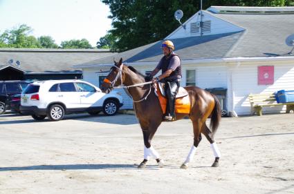 Mandel, 3YO gelding by Malibu Moon, at Monmouth Park