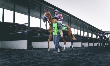 More Than Ready colt More Ice in the El Camino Real Derby at Golden Gate Fields on February 16, 2019 (Christian Murillo)