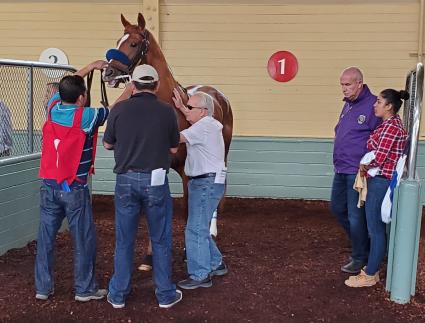 More Ice runs in the Cinema Stakes at Santa Anita Park on June 2, 2019 (Carter Biddle)