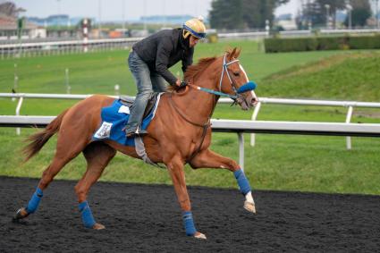 More Ice training at Golden Gate Fields on February 11, 2019. (Photo courtesy of Christian Murillo)