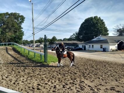 New Found Treasure training at Monmouth Park on August 22, 2019 (Robb Levinsky)