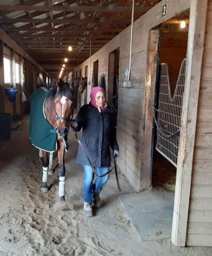 New Found Treasure at Penn National on March 7, 2020 (Mark Salvaggio)