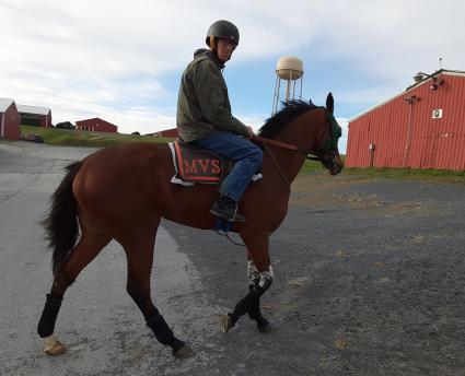 New Found Treasure training at Penn National on April 3, 2020 (Mark Salvaggio)