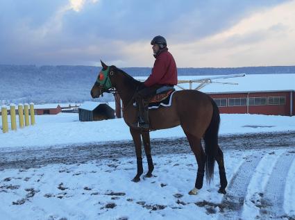 New Found Treasure training at Penn National on January 8, 2020 (Mark Salvaggio)