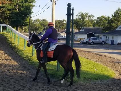 New Found Treasure training at Monmouth Park on September 7, 2019 (George Katzenberger)