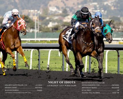 Night of Idiots wins race 4 at Golden Gate Fields on November 2, 2019 (photo courtesy of Golden Gate Fields)