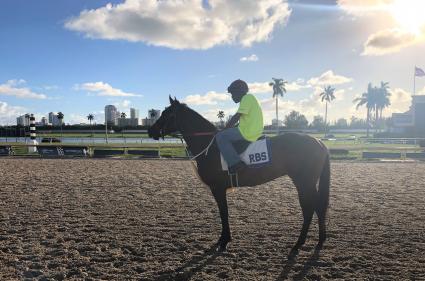 No Good Deed at Gulfstream Park on October 11, 2019