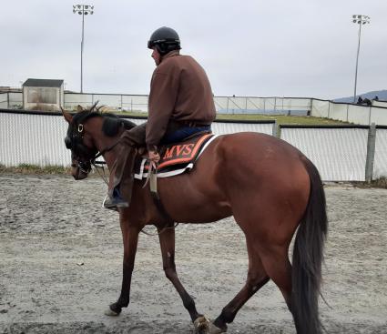 No Good Deed training at Penn National on March 26, 2020 (Mark Salvaggio)