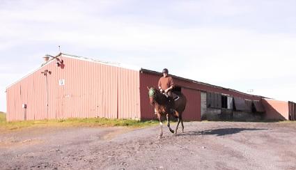 No Good Deed training at Penn National on Saturday, May 2, 2020 (Mark Salvaggio)