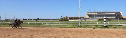 No Good Deed inside and Guiliana Vee outside, head to head working at Penn National, 5-7-20 (Mark Salvaggio)