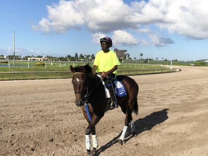 No Good Deed at Gulfstream Park on November 1, 2019