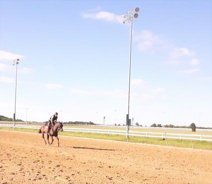 No Good Deed trains at Penn National on May 30, 2020 (Mark Salvaggio)