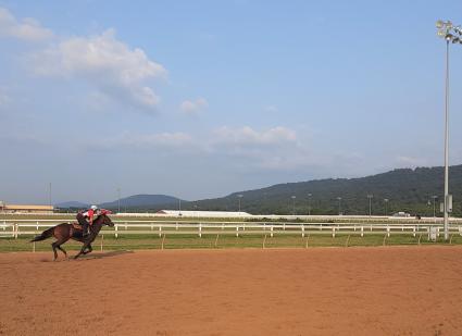 No Good Deed training at Penn National on Thursday, August 27, 2020 (Mark Salvaggio)