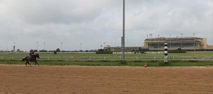 No Good Deed work at Penn National on May 27, 2020 (Mark Salvaggio)