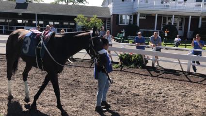 Overdressed in Race 7 on September 4, 2021 (Christopher Driscoll)